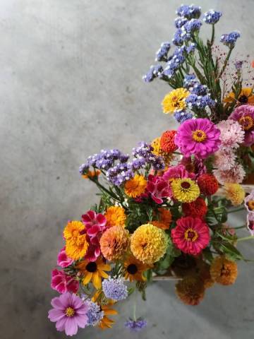 Bouquet du mois (03/10)
